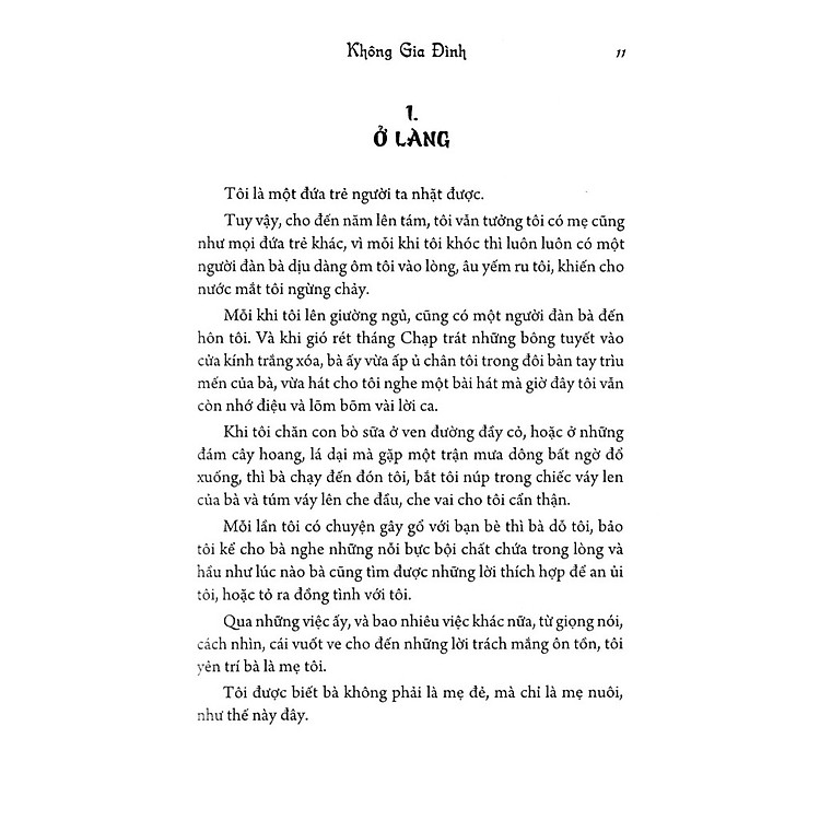 Không Gia Đình - Ảnh 2