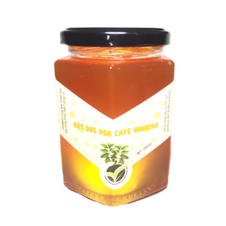 Mật Ong Nguyên Chất Hoa Cà Phê Vanbina 280ml - Mật ong Sạch theo tiêu chuẩn Xuất Khẩu Châu Âu