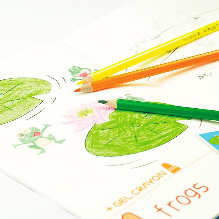 Hộp Thiếc 24 Bút Chì Màu Forest - Ảnh 6