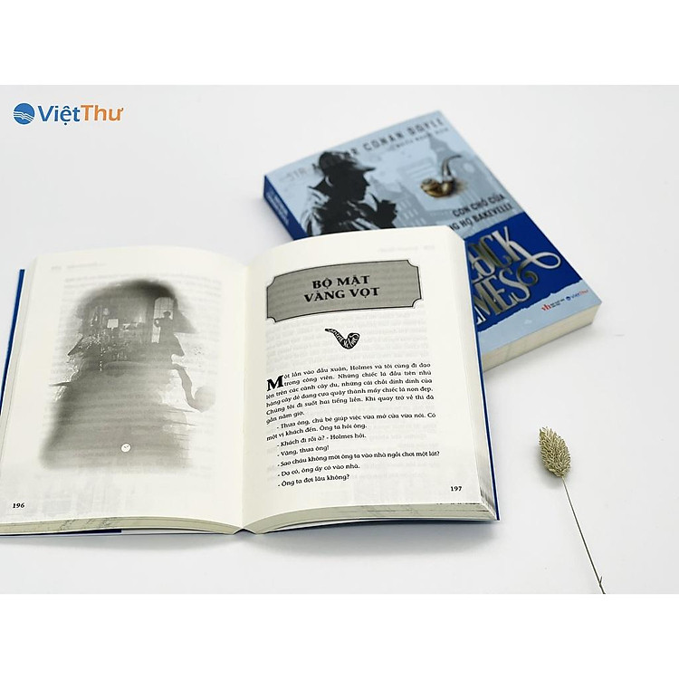 Sherlock Holmes - Con Chó Của Dòng Họ BAKJEVELLE - Ảnh 5
