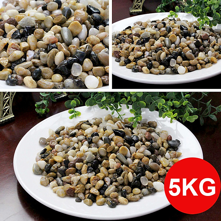 5KG Sỏi suối 3 màu trang trí bể cá, hồ thủy sinh, tiểu cảnh, cây cảnh, chậu sen đá, xương rồng, hòn non bộ, lọc nước hồ cá ( size nhỡ)