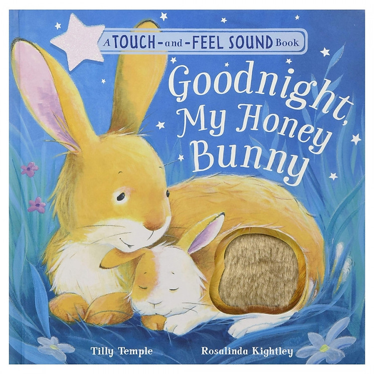 Goodnight My Honey Bunny (Touch And Feel Sound Book)