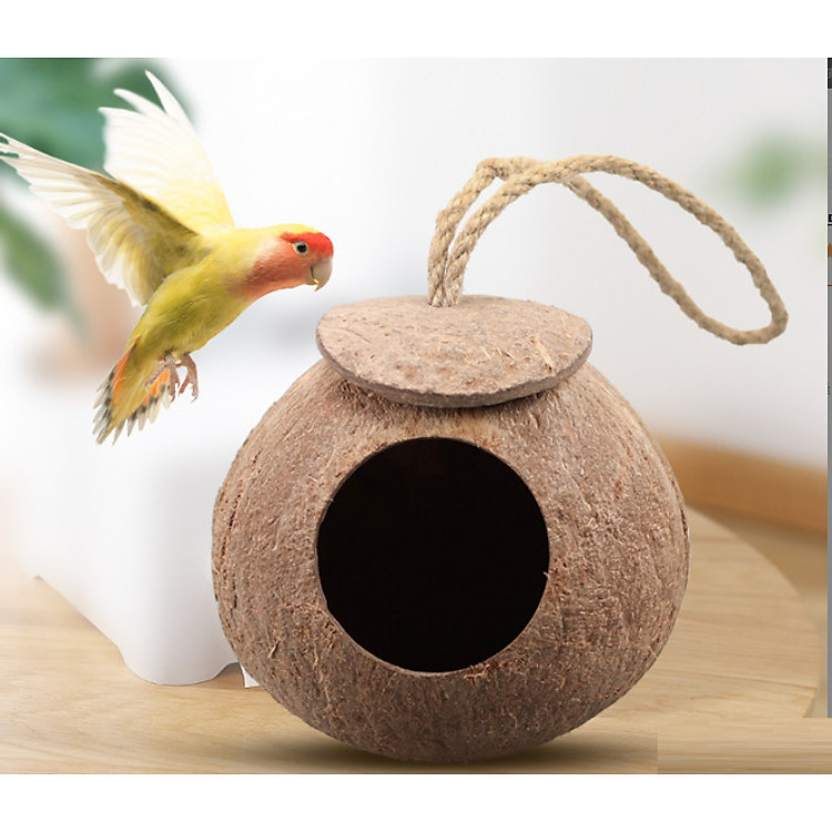 1 TỔ BẰNG GÁO DỪA LÀM TỔ CHO CHIM, VẸT