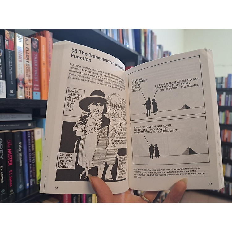 Introducing Jung: A Graphic Guide - Ảnh 3