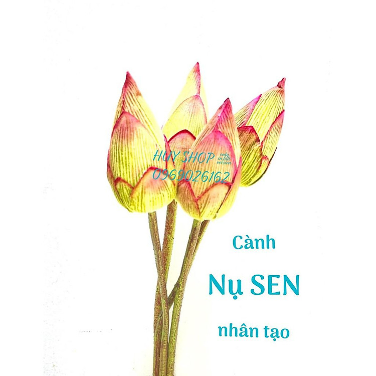 CÀNH HOA SEN NỤ NHÂN TẠO TRANG TRÍ NHÀ CỬA