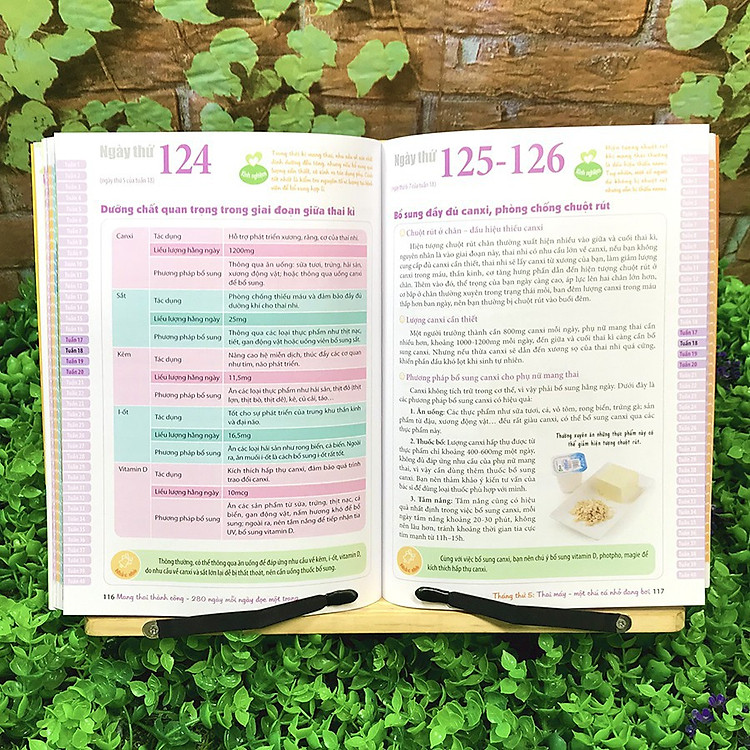 Mang Thai Thành Công - 280 Ngày, Mỗi Ngày Đọc Một Trang - Ảnh 5