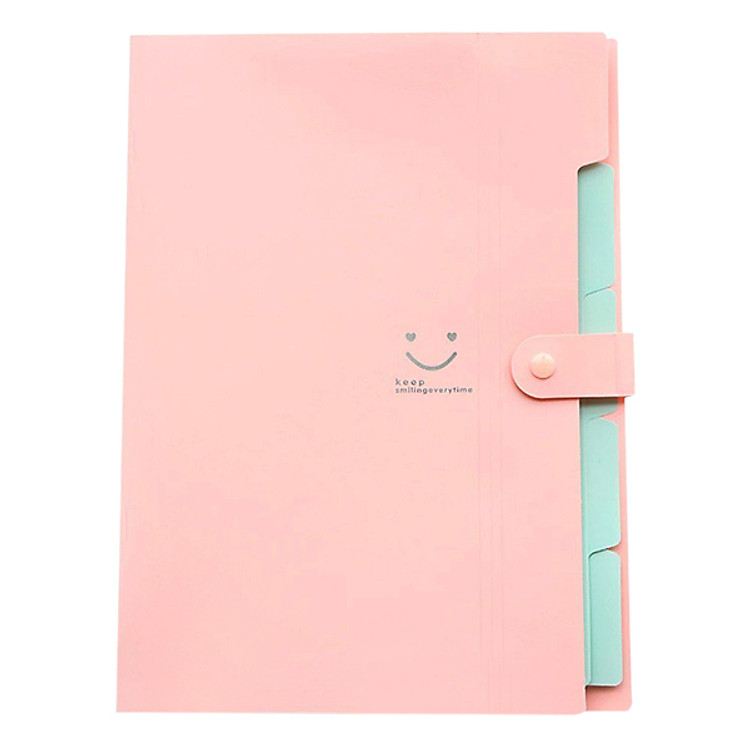 Bìa Đựng Hồ Sơ (32.4 x 23.6 x 1.9 cm) - Hồng