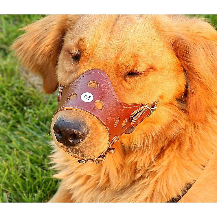 Rọ mõm chó bằng da, bịt miệng chó