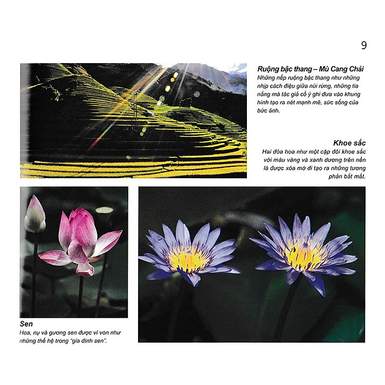 Đường Vào Nghệ Thuật Nhiếp Ảnh – Ngôn Ngữ Hình Ảnh - Ảnh 5