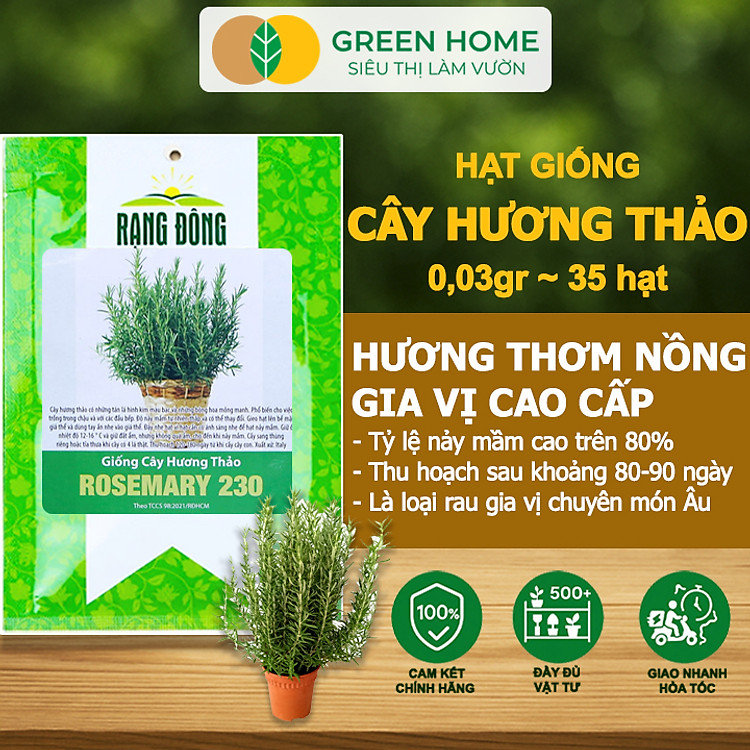Hạt Giống Cây Hương Thảo GreenHome, Rosemary, Gói 0,03g~35 hạt, Dễ Trồng, Thu Hoạch Quanh Năm G06