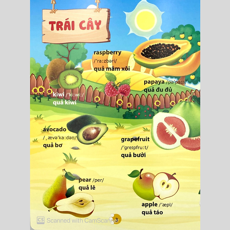 Từ Điển Phát Triển Ngôn Ngữ Bằng Hình Dành Cho Trẻ Mầm Non - Ảnh 4