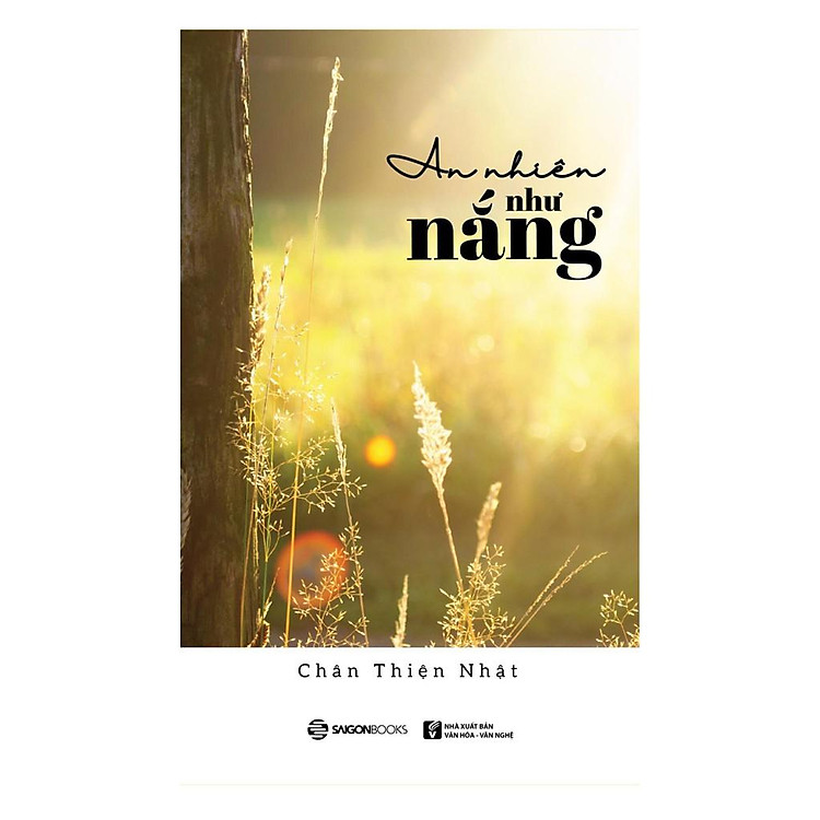 An Nhiên Giữa Những Thăng Trầm - Ảnh 3