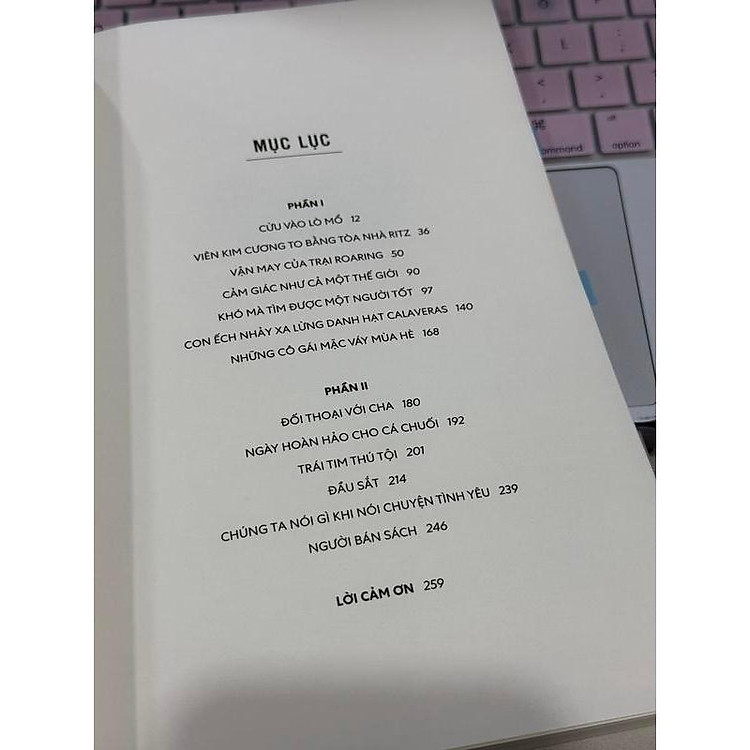 Hiệu sách trên đảo (Gabrielle Zevin) - Ảnh 3