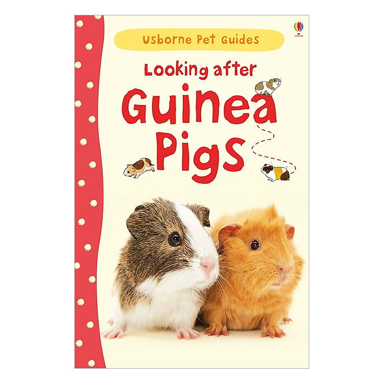 Sách Usborne Pet Guides: Looking after Guinea Pigs