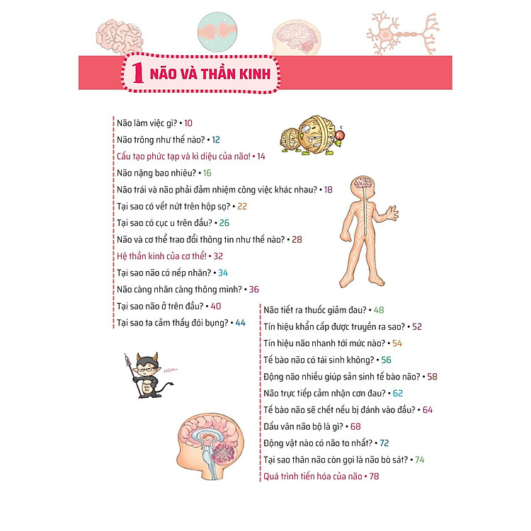 Quiz! Khoa Học Kì Thú - Khám Phá Não Bộ - Ảnh 2