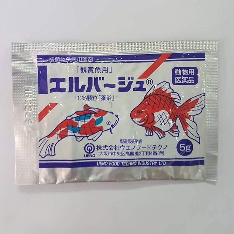 Thuốc trị nấm cho cá cảnh