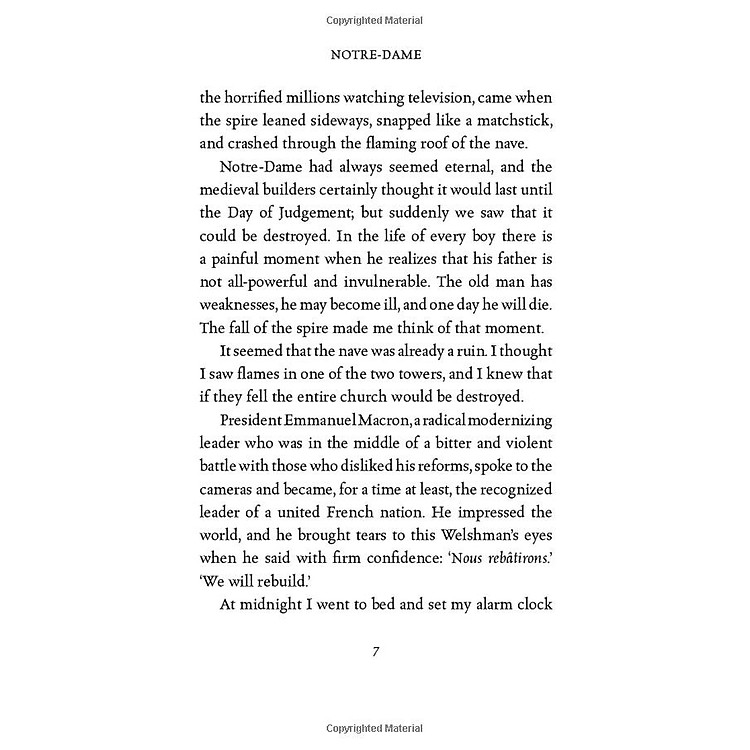 Notre-Dame: A Short History Of The Meaning Of Cathedrals - Ảnh 4