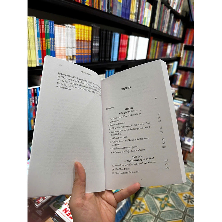 Nobody Knows My Name - More Notes of a Native Son - Ảnh 4