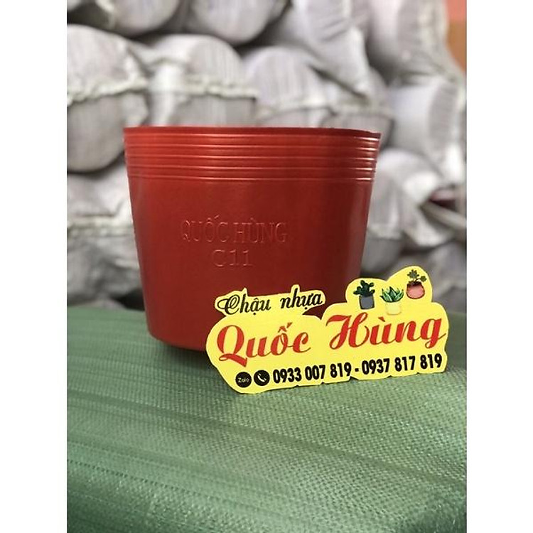 Combo 10- 20 chậu nhựa C11 Đỏ