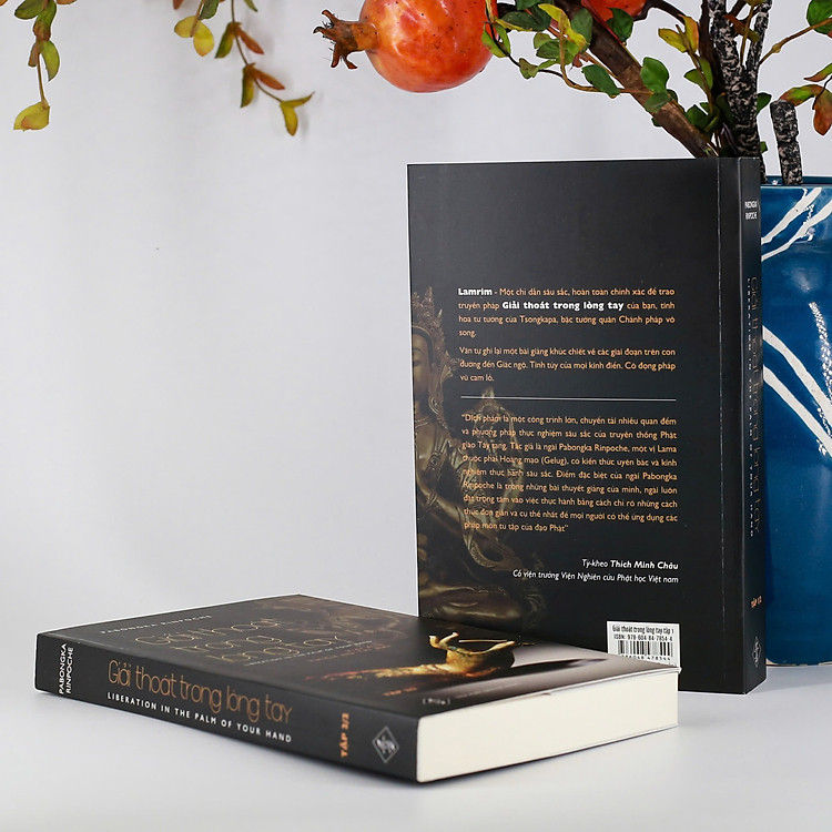 Giải Thoát Trong Lòng Tay - Ảnh 4