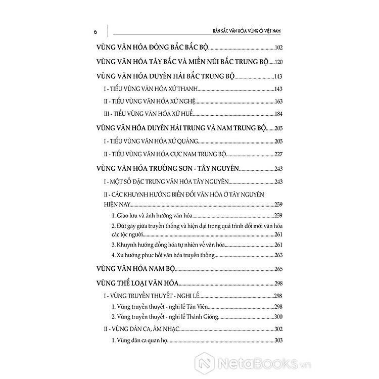 Bản Sắc Văn Hóa Vùng Ở Việt Nam - Ảnh 4