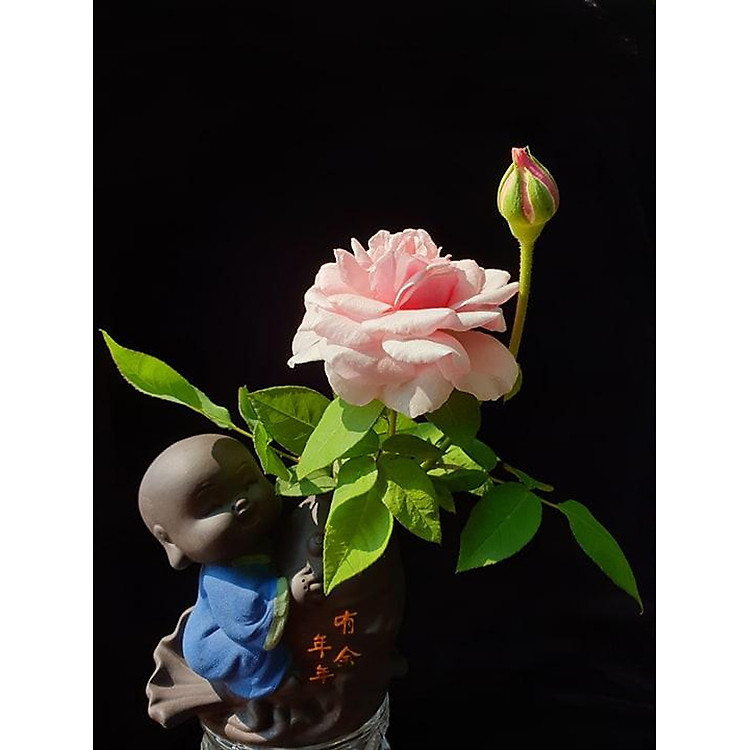 Tượng Chú Tiểu Cưỡi Cá Chép Trồng Cây Cắm Hoa để Bàn - Ảnh 3