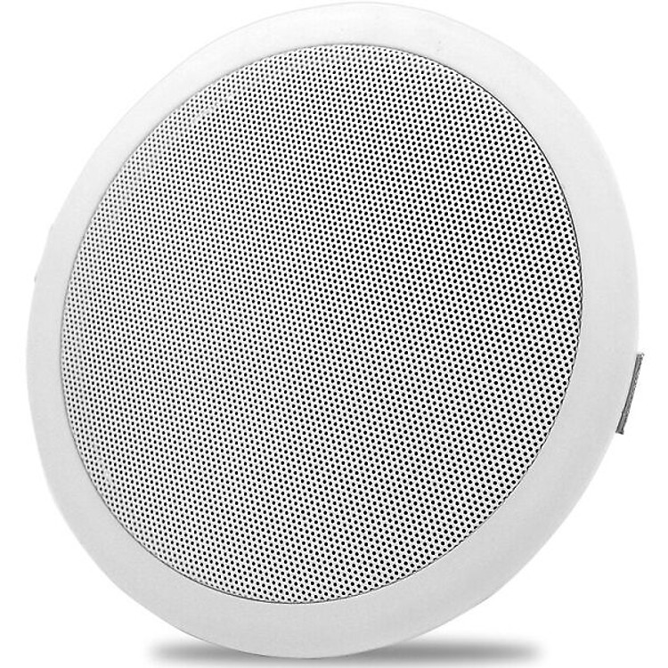 Loa Trần Newmine ND-5