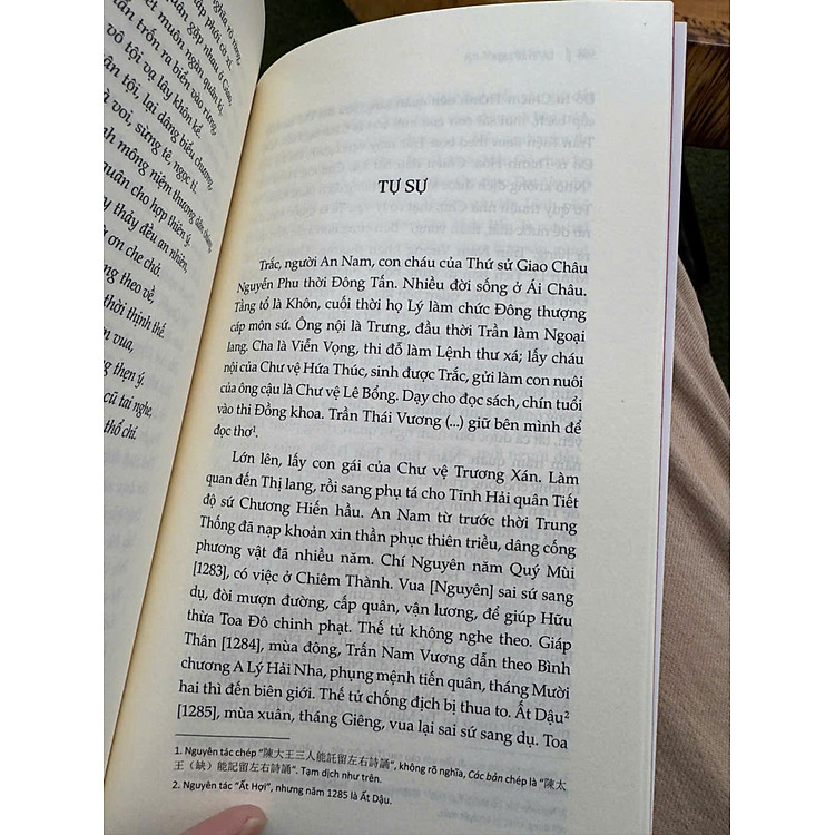 AN NAM CHÍ LƯỢC – Lê Trắc – Mặc Sinh Lê Huy Hoàng dịch - Ảnh 3