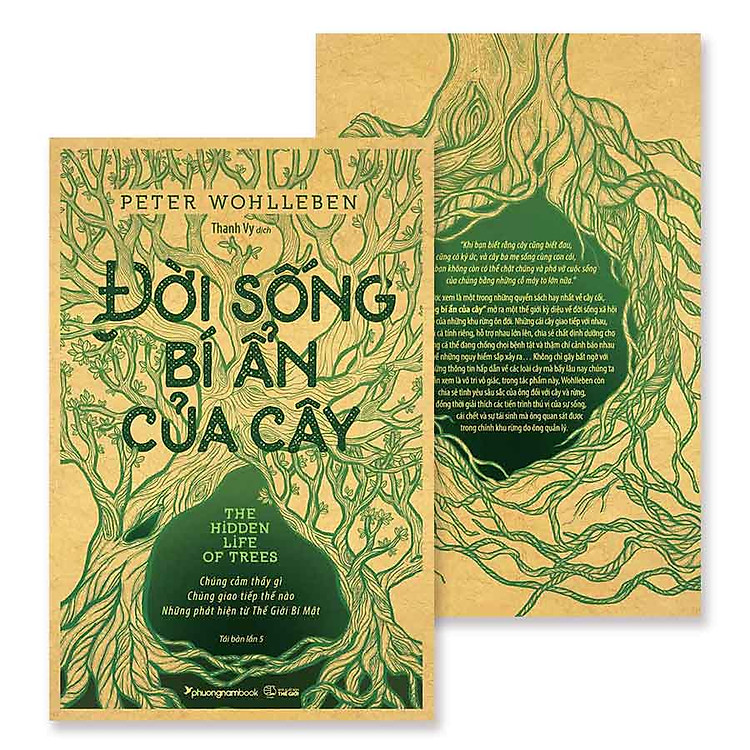 Đời Sống Bí Ẩn Của Cây (Tái bản năm 2024) - Ảnh 3