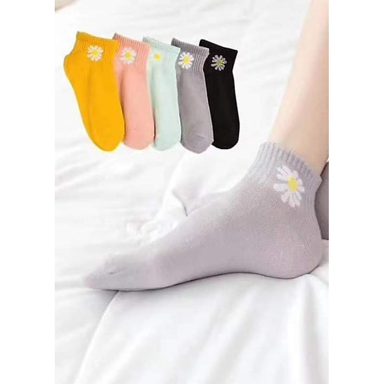 Combo 5 vớ nữ hoạ tiết hoa cúc phong cách - màu ngẫu nhiên