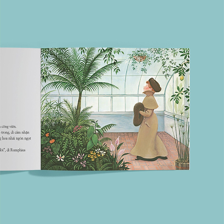 Dì Rumphius - Ảnh 4