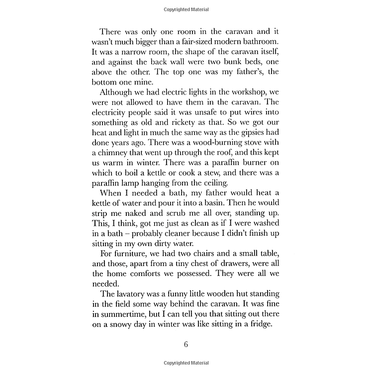 Danny the Champion of the World - Ảnh 7