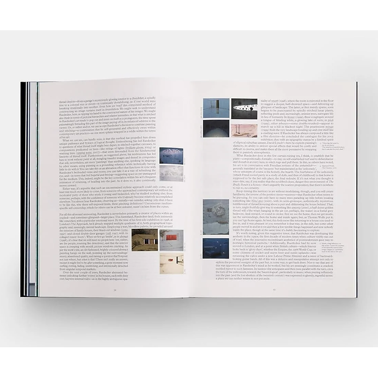 Artbook - Sách Tiếng Anh - Michael Raedecker - Ảnh 4