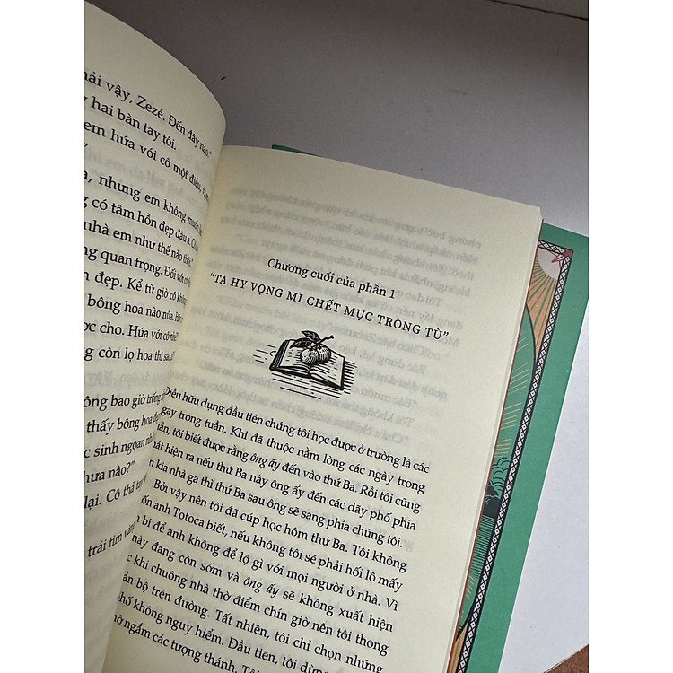 Cây Cam Ngọt Của Tôi & Sưởi Ấm Mặt Trời - Ảnh 3