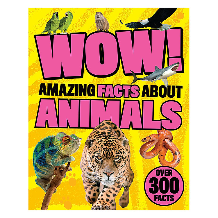 Sách Wow! Amazing Facts