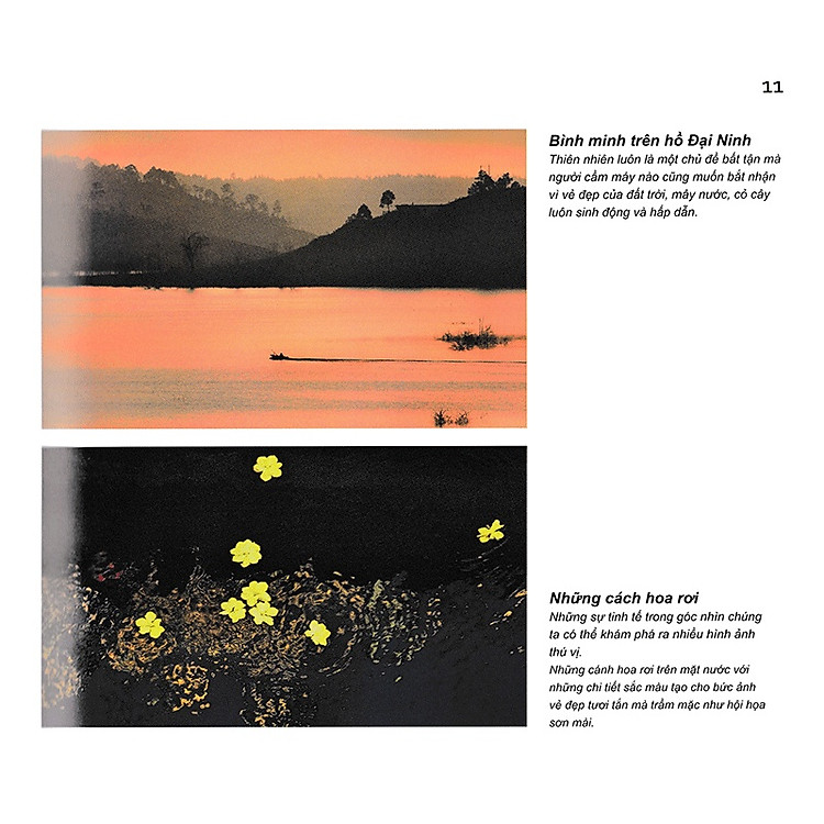 Đường Vào Nghệ Thuật Nhiếp Ảnh – Ngôn Ngữ Hình Ảnh - Ảnh 7