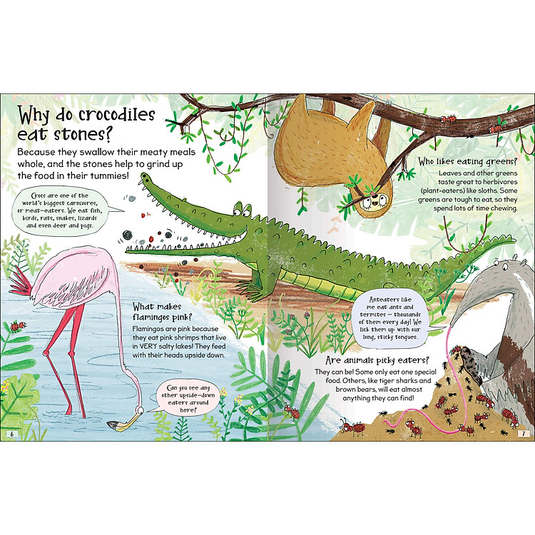 Curious Questions & Answers About Animals - Ảnh 5