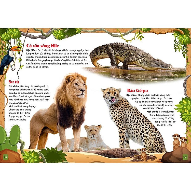 Khám Phá Động Vật 5 Châu - Châu Phi - Ảnh 4