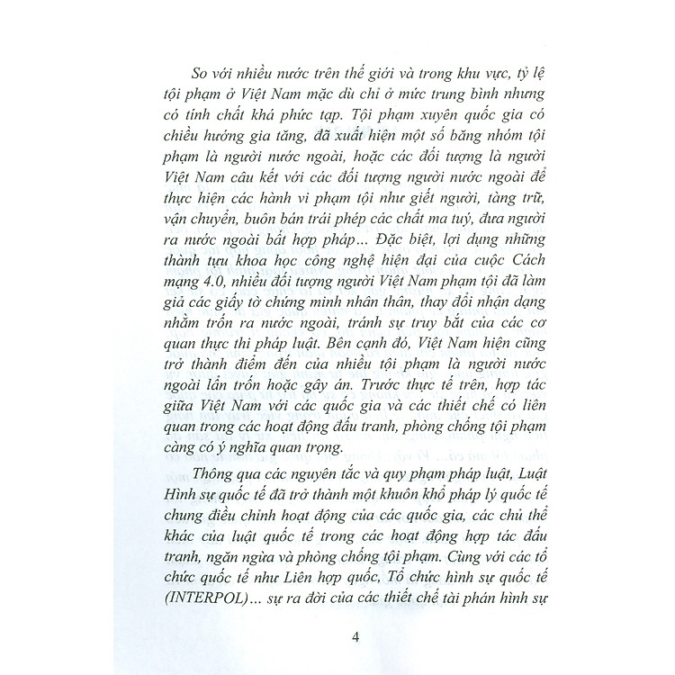 Luật Hình Sự Quốc Tế - Ảnh 4