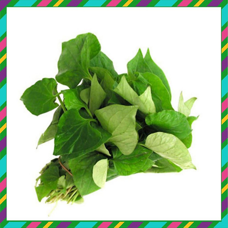 Hạt giống rau Diếp Cá