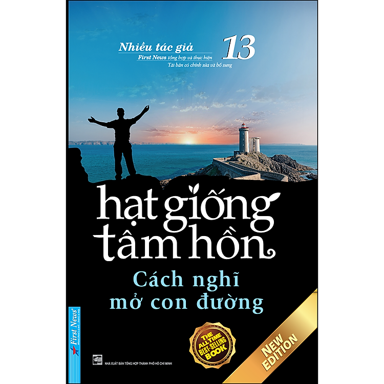 Hạt Giống Tâm Hồn 13 (Tái Bản)