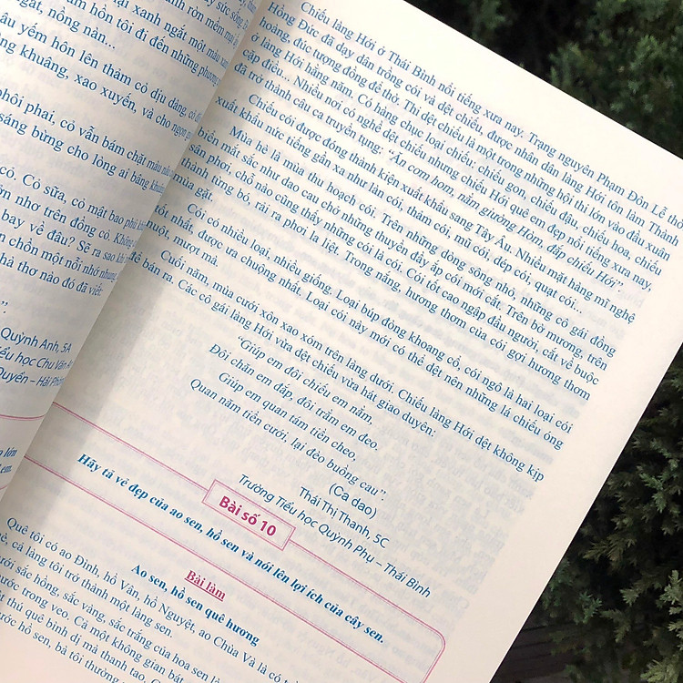 Tuyển Chọn Những Bài Văn Miêu Tả Lớp 5 - Ảnh 6