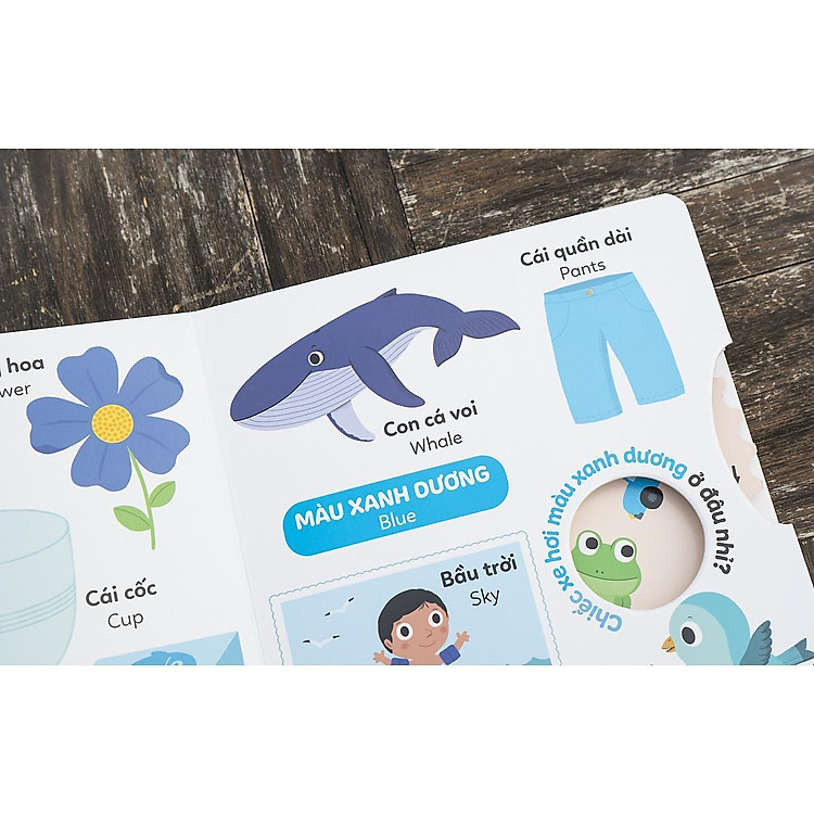 Xoay Xoay Xoay - Đi Tìm... Màu Sắc - Ảnh 5