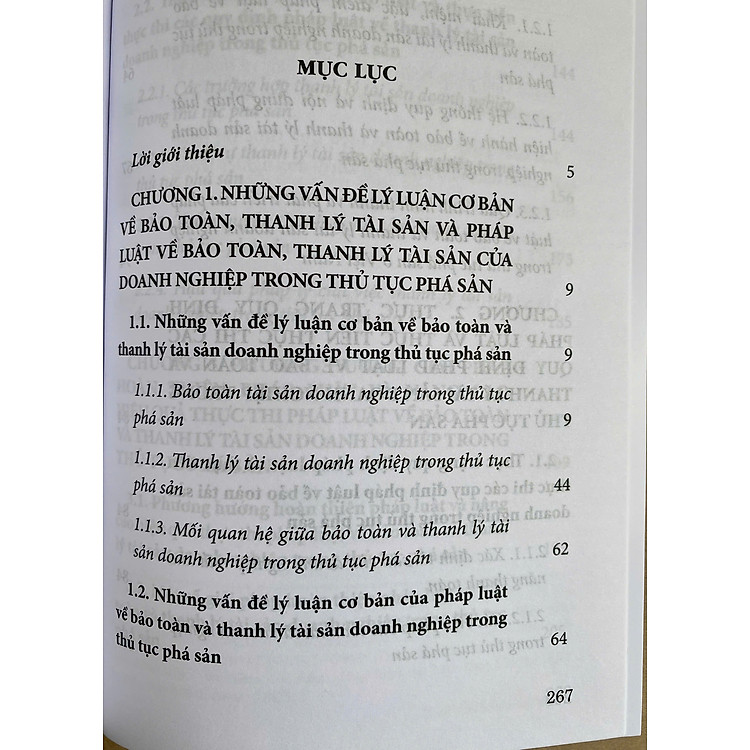 Pháp Luật Hiện Hành Về Bảo Toàn Và Thanh Lý Tài Sản Doanh Nghiệp Trong Thủ Tục Phá Sản - Ảnh 4
