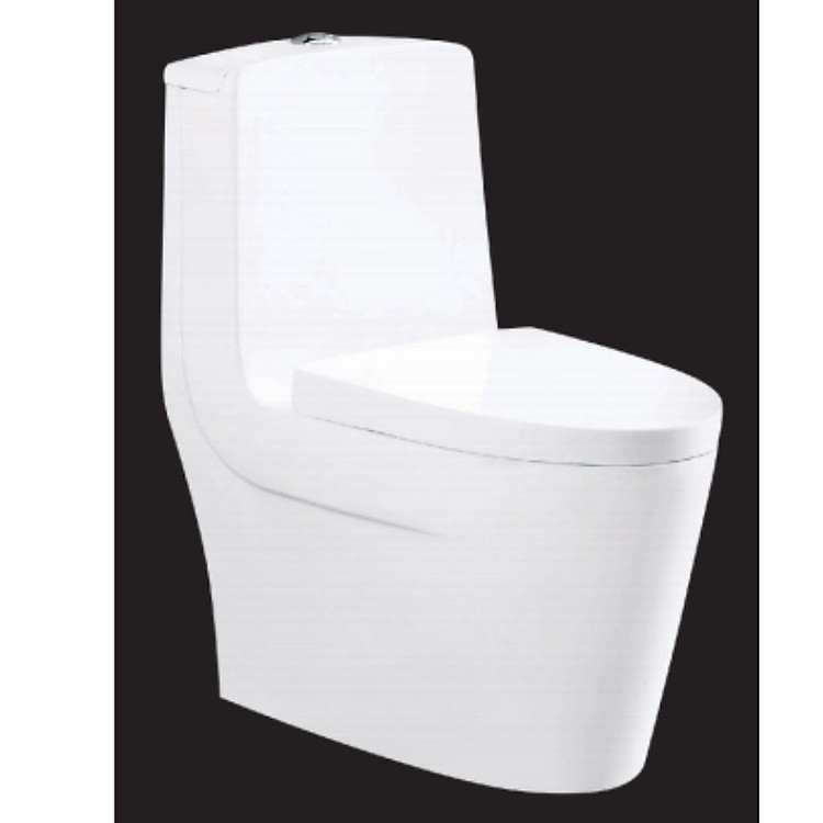 Bồn cầu 1 khối thương hiệu RHENWARE CB-909