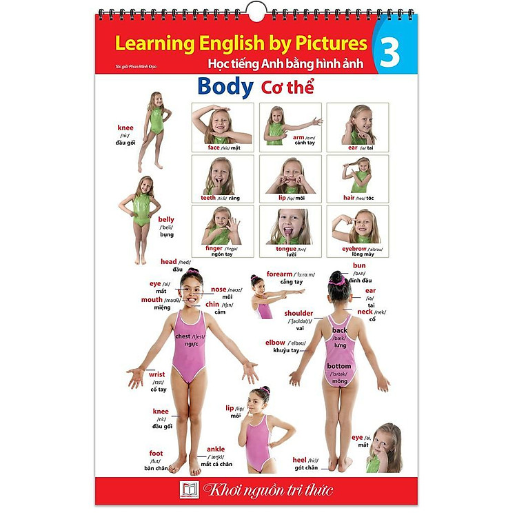 Tranh Học Tiếng Anh Bằng Hình Ảnh – Tập 3