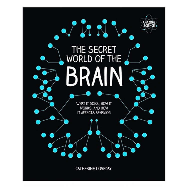 The Secret World Of The Brain