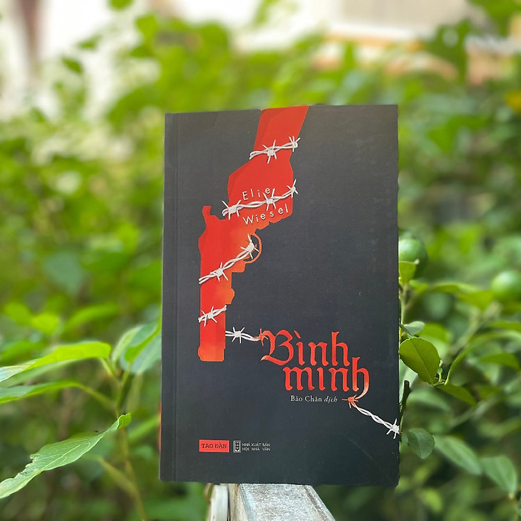 Bình minh - Tao Đàn - Ảnh 3