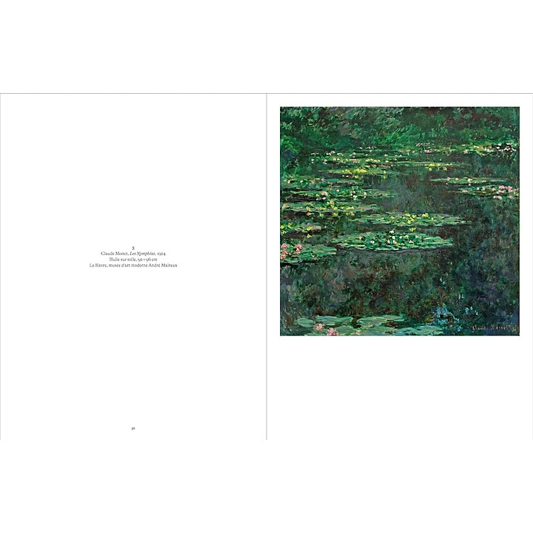 Monet/Rothko - Ảnh 5