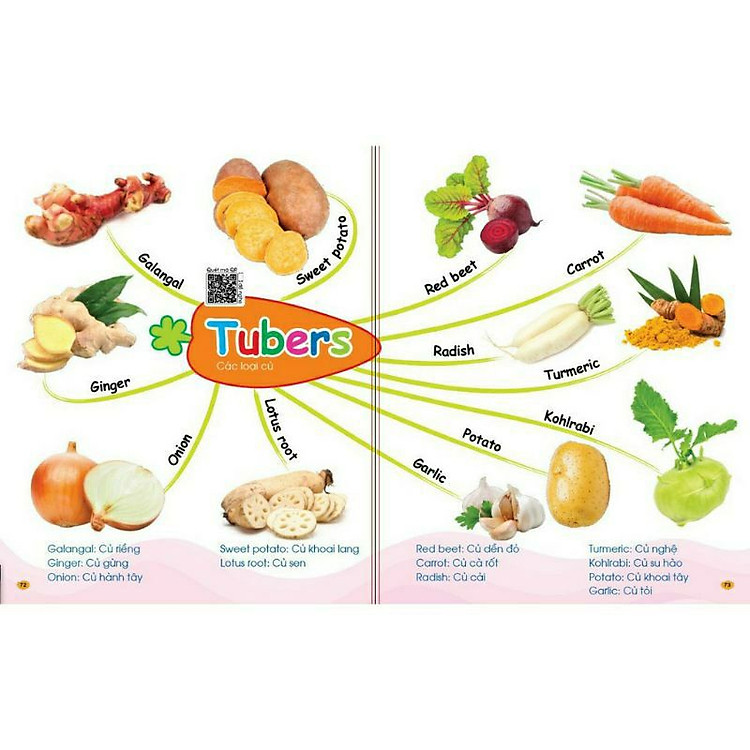 Chinh Phục Từ Vựng Tiếng Anh - Theo Sơ Đồ Tư Duy Mind Map - Ảnh 5